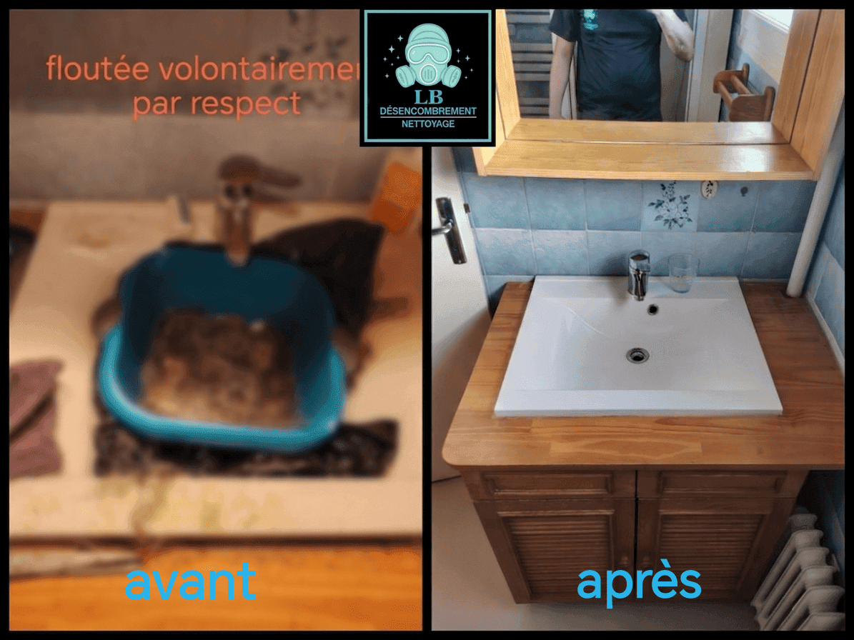 Nettoyage & Remise en état - photo 5